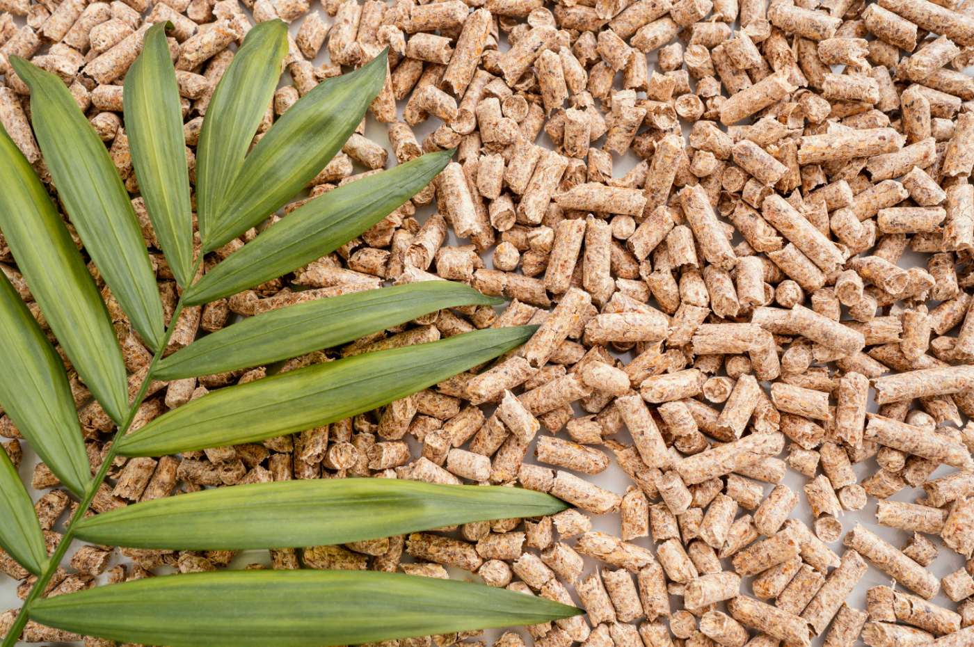 pellet de madeira biomassa